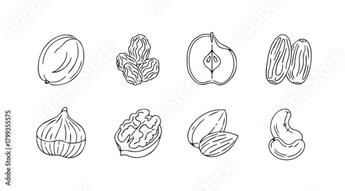 Hand drawn sketch collection of various dried fruits and nuts silhouette