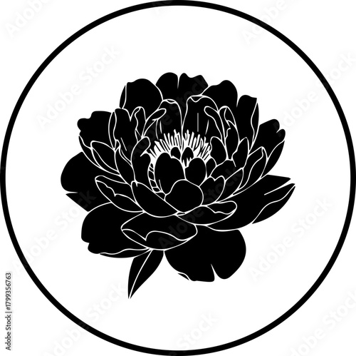 Elegant black and white peony bloom icon, symbolizing natural beauty and refined aesthetics for sophisticated branding and design projects.