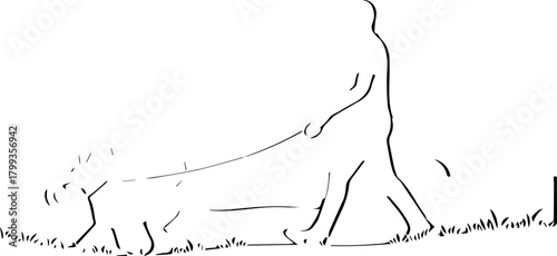 Person walking a small dog on a leash through grassy outdoor park on a bright day, celebrating pet companionship and healthy lifestyle