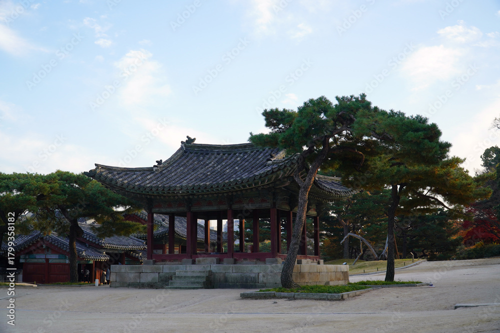 Fototapeta premium the autumn scenery of Changgyeong Palace