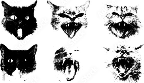 Collection of cat illustrations showing various expressions, including yawning and aggressive faces. This monochrome vector illustration depicts feline behaviors.