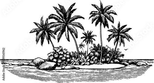 Vintage engraving of an island with palm trees. Scenic vector illustration featuring tropical plants and coastal waters.