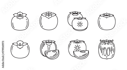 Tableau sur toile Collection of hand drawn persimmon fruit illustrations in silhouette style