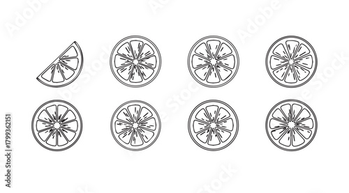 Collection of oranges and citrus fruit slices in silhouette style