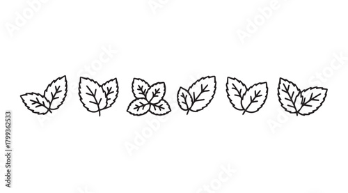Collection of hand drawn leaf silhouettes in a row silhouette