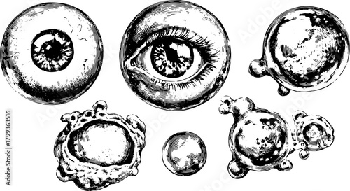 Cell structures and eye illustrations in monochrome. Detailed vector illustration set for scientific study and research.