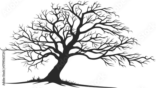 Silhouette of a bare tree with many branches extending outwards on a white background landscape scene vreated with genrated ai