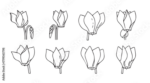 Collection of stylized tulip flower silhouettes in a simple line art style silhouette