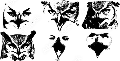 Owl head illustrations in black and white. Detailed vector set of abstract bird portraits showcasing unique shapes and textures.