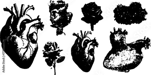 Heart and rose vector illustration in black and white. A vintage style graphic set with elegant motifs and textures.