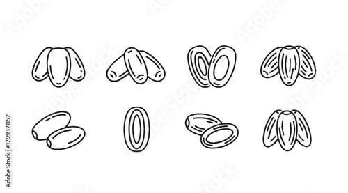 Collection of hand drawn date fruit illustrations in a simple silhouette style