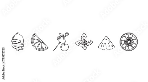 Collection of hand drawn botanical silhouettes of flowers and seed pods