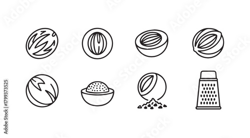 Collection of nutmeg seeds and grater in a simple silhouette style