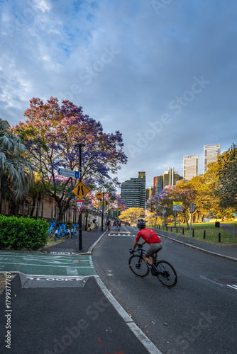 Photography Sunrise Ride in Sydney with Panoramic Views from the Cahill Expressway