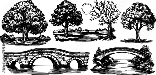 Illustration of trees and bridges in a vintage style. Black and white graphic set depicting scenic landscapes in vector format.