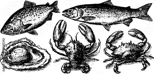 Vintage seafood engraving featuring fish, crab, oyster, and lobster in detailed black outline. This vector illustration showcases aquatic life in a set.