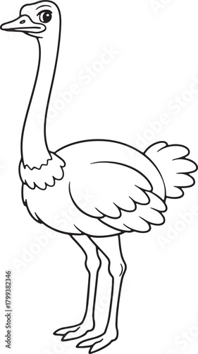 Ostrich cartoon outline