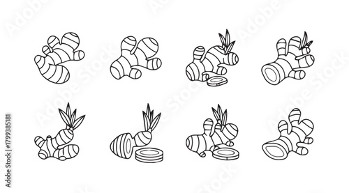 Collection of hand drawn ginger root illustrations in silhouette style
