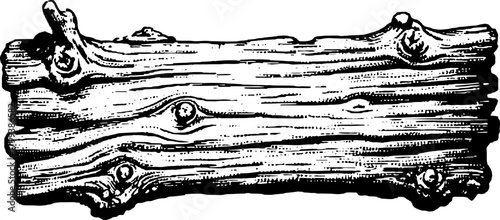 Engraving of a wooden log featuring intricate line details. This black and white vector illustration emphasizes texture and outline.