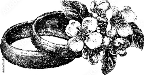 Vintage wedding rings with flowers. Detailed vector illustration in black and white, perfect for romantic design or decoration.