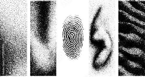 Black and white texture patterns featuring fingerprints, ears, and stripes. An intricate set of visual elements in a modern vector illustration.