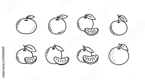 Collection of hand drawn orange fruit illustrations in a distinctive silhouette style