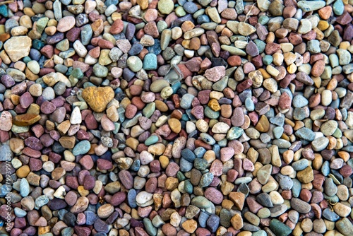 background of colorful beans