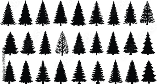 Pine tree silhouettes, evergreen forest icons, black conifer shapes, winter fir tree collection, isolated nature illustration set for decoration