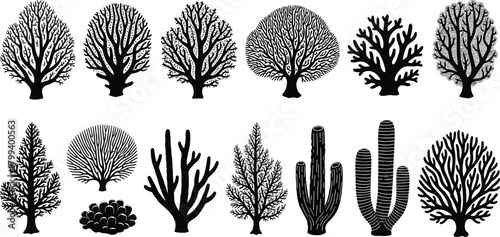 Coral reef silhouettes, underwater marine plants, sea coral vector illustrations, ocean flora elements, tropical aquatic designs, decorative nature graphics