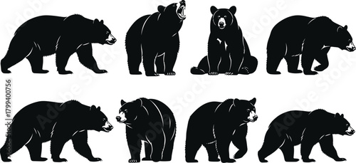 Black bear silhouettes, wild animal poses, standing and walking bear vector illustrations for wildlife design, nature artwork, forest graphics, and outdoor themes