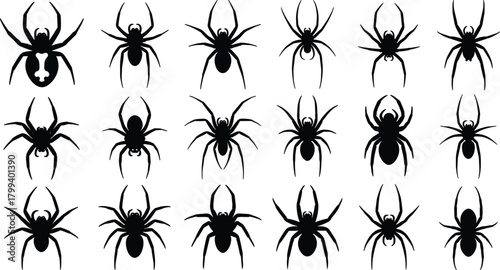 Canvas Print Spider silhouette collection featuring various arachnid shapes and poses, insect
