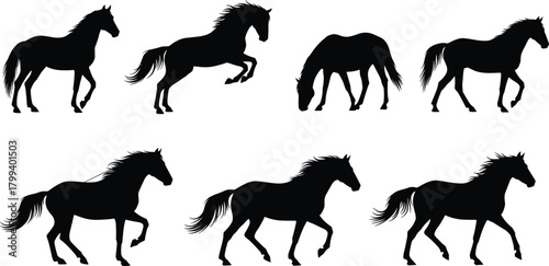 Silhouette horses in various running and walking poses, elegant equine outlines, wildlife animal illustration set, dynamic horse movement design elements