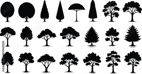 Collection of diverse tree silhouettes, natural forest shapes and botanical elements, vector foliage set for landscape design, ecology illustration graphic
