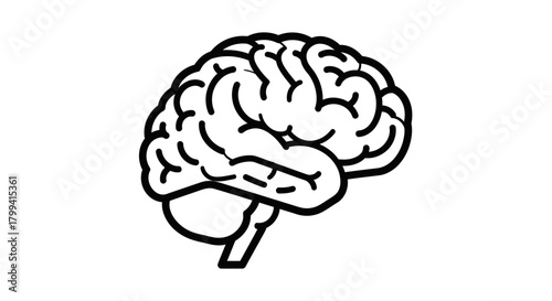 A minimalist line drawing of a human brain, symbolizing knowledge, intellect, and cognitive functions