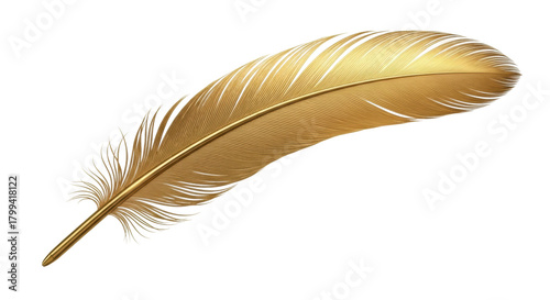 Golden feather with delicate details on white background