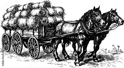 Engraving of a horse-drawn cart transporting hay. Vintage vector illustration depicting rural agriculture in a detailed and clear manner.