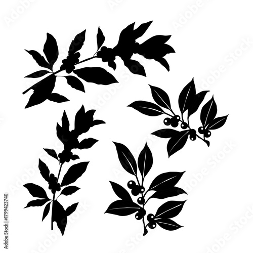 Floral Coffee Silhouette Vector Art. Botanical Coffee Cup and Beans Illustration. Elegant Coffee Branch Decor Icon. Minimalist Cafe Drink Silhouette with Leaves. Coffee Plant Decorative Outline Design