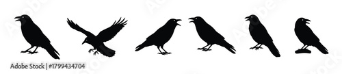 collection of crow silhouettes in different poses isolated .