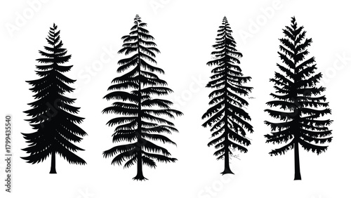 Collection of pine trees vector