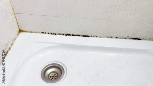 Dirty shower corner with mold and mildew along the tile seams and white tray, illustrating poor hygiene, bathroom cleaning, and maintenance problems in household environments