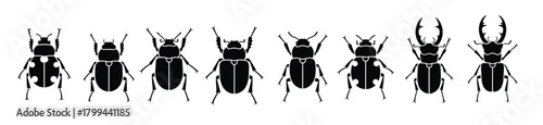 collection of isolated beetle silhouettes on white background
