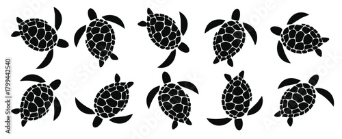 Colorful seamless pattern with bright sea turtles vector