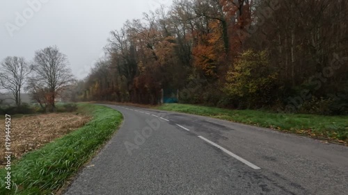 Walking along a winding small road through a dense Alpine forest near Lyon - France during a cloudy autumn day. Fallen leaves cover the path, creating a serene and atmospheric woodland scene.