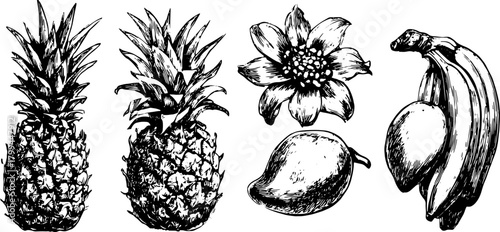Hand-drawn vector illustration of a set of tropical fruits: pineapples, bananas, mangoes, and a flower. Simple black and white design captures nature's essence.