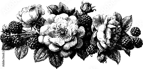Vintage floral engraving illustration featuring detailed roses and brambles. This black outline vector art is perfect for decorative purposes in an antique style.