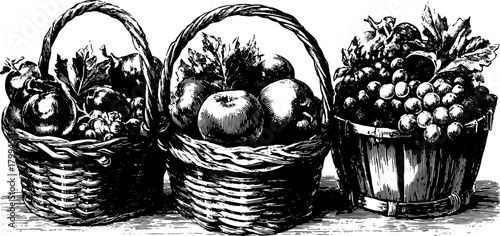 Vintage engraving of a fruit basket. Detailed outline illustration showcasing a set of apples and grapes in a vector style.