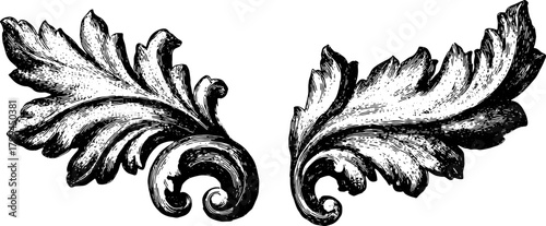 Classic leaf design in black and white. Decorative vector illustration featuring fine details and elegant craftsmanship.