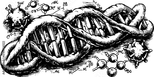Hand-drawn DNA drawing showcasing scientific illustrations. Vintage black outline vector illustration for academic use.