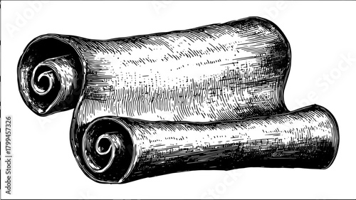 Vintage scroll engraving in black and white. Detailed outline drawing of a rolled-up paper scroll presented as a vector illustration.