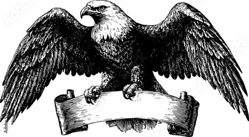 Eagle with spread wings in black and white outline. This vintage vector illustration features a banner, ideal for graphic needs in set format.